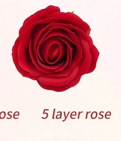 5 layer rose
