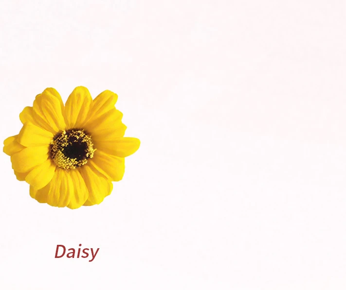 Daisy